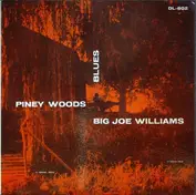 Big Joe Williams