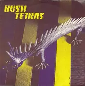 Bush Tetras