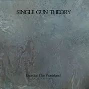 Single Gun Theory