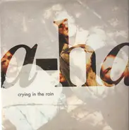 a-ha - Crying In The Rain