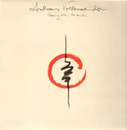 Andreas Vollenweider - Dancing with the Lion