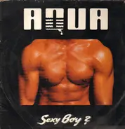 Aqua - Sexy Boy?