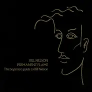 Bill Nelson - Permanent Flame (The Beginners Guide To Bill Nelson)