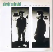 David + David - Swallowed By The Cracks