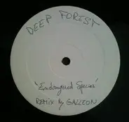 Deep Forest - Endangered Species (Remixes By Galleon)