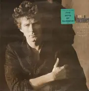 Don Henley - Building the Perfect Beast