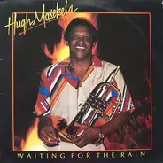 Hugh Masekela - Waiting for the Rain