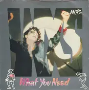 Inxs - What You Need