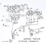 Andrew Pekler - Strings + Feedback