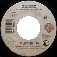 Peter Cetera W/ Amy Grant / Peter Cetera - The Next Time I Fall / Glory Of Love