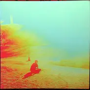 The Flaming Lips - The Terror