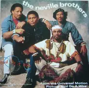 The Neville Brothers - Bird On A Wire