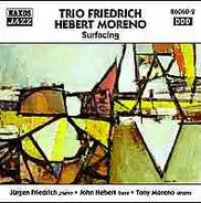 Trio Friedrich Hebert Moreno - Surfacing