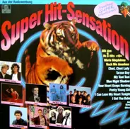 Modern Talking, C.C.Catch usw. - Super Hit-Sensation - Das Internationale Doppelalbum