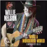 Willie Nelson - What a Wonderful World