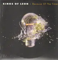 Kings Of Leon - Because of the Times