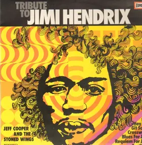 Jeff Cooper - Tribute To Jimi Hendrix