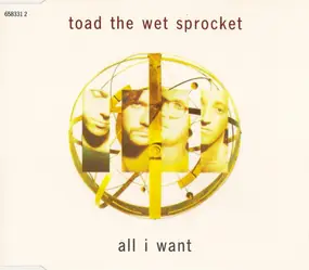 Toad the Wet Sprocket - All I Want