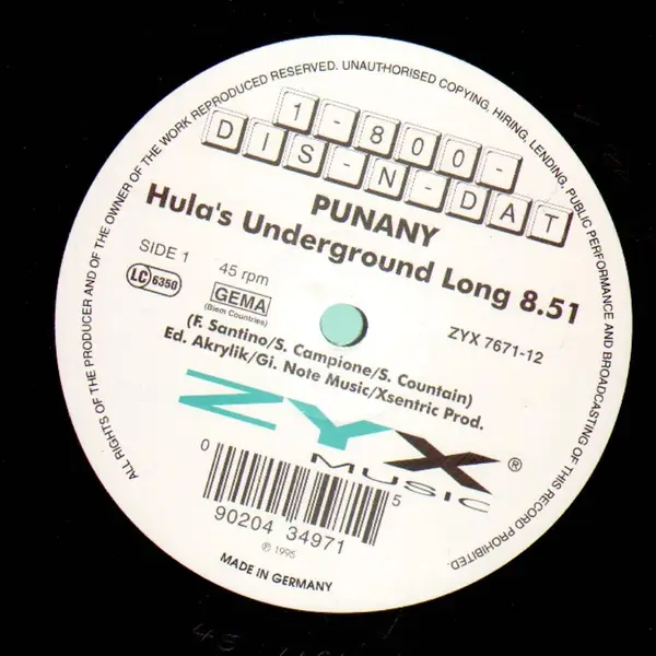 1-800-DIS-N-DAT - Punany - 12 inch x 1