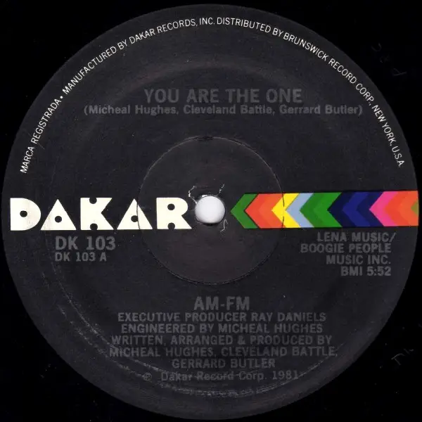 AM-FM - You Are The One - Disque Maxi x 1