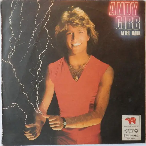 ANDY GIBB - After Dark - LP
