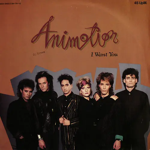 ANIMOTION - I Want You - Disque Maxi x 1
