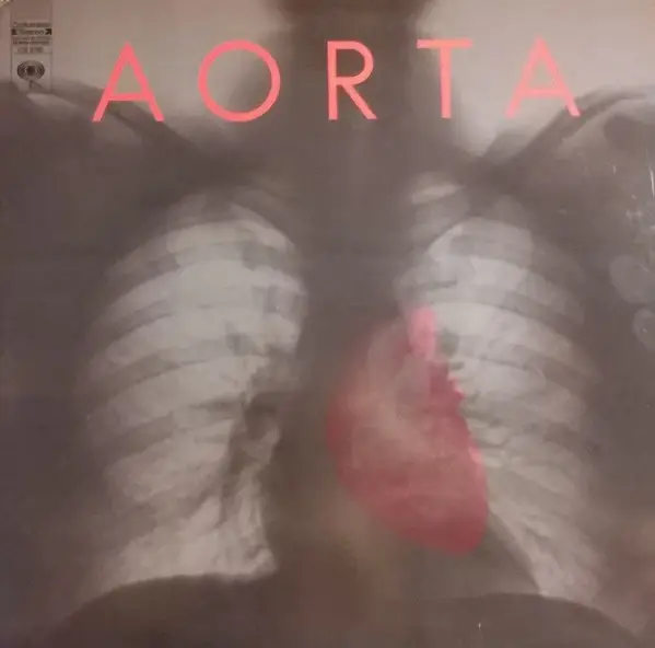 AORTA - Aorta - Disque 33T