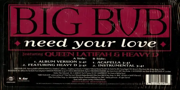 BIG BUB - Need Your Love - Disque Maxi 45T