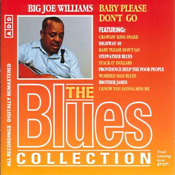 BIG JOE WILLIAMS - Baby Please Don't Go - Disque CD
