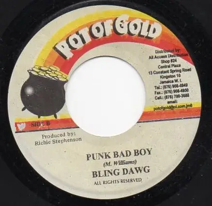 BLING DAWG / SINGER J - Punk Bad Boy / Home - Disque 45T x 1