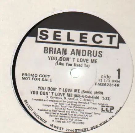 BRIAN ANDRUS - You Don't Love Me (Like You Used To) (PROMO) - Disque Maxi x 1