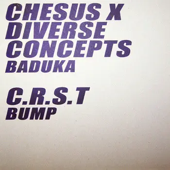 CHESUS X DIVERSE CONCEPTS / C.R.S.T - Baduka / Bump (PURPLE) - Disque 25 cm