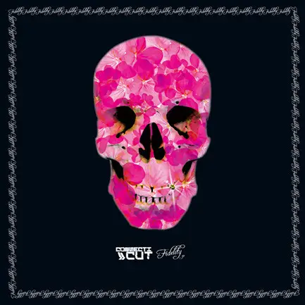 CONNECTICUT - Fidelity - Disque Maxi x 1