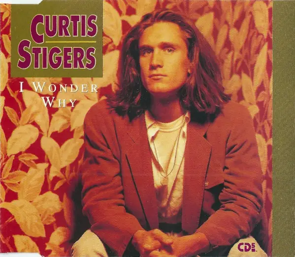 CURTIS STIGERS - I Wonder Why - Disque CD single