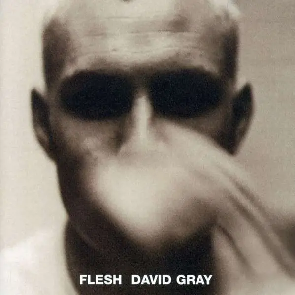 DAVID GRAY - Flesh - CD