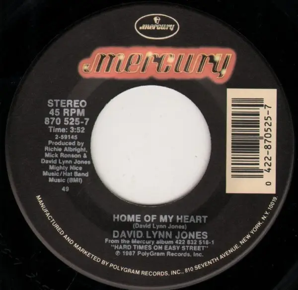 DAVID LYNN JONES - Home Of My Heart / The Rogue - 7inch x 1