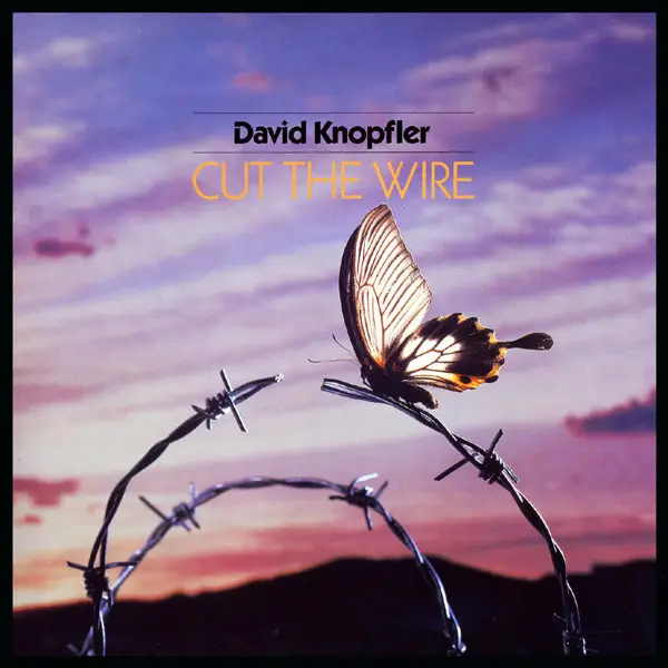 David Knopfler Cut The Wire