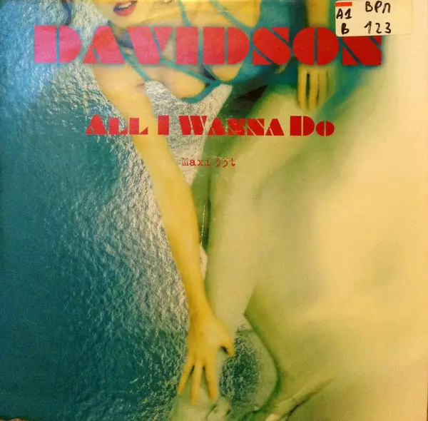 DAVIDSON - All I Wanna Do - Disque Maxi x 1