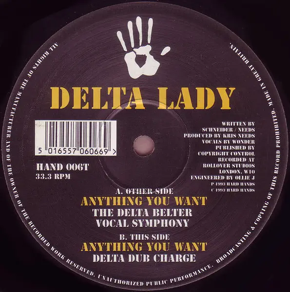 DELTA LADY - Anything You Want - 12 inch x 1