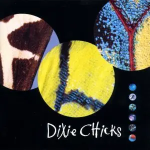 Dixie Chicks Fly