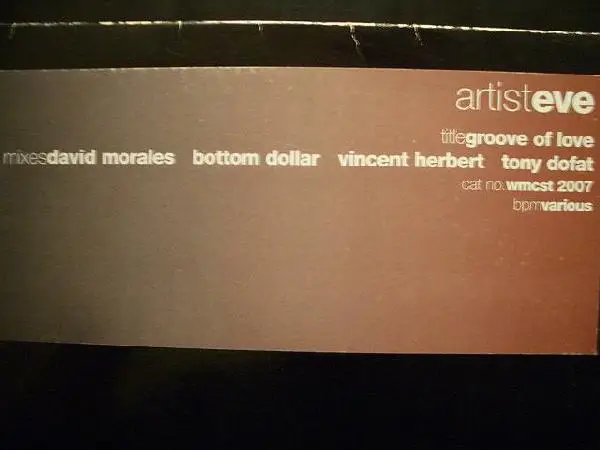 EBONY VIBE EVERLASTING - Groove Of Love - Disque Maxi x 2