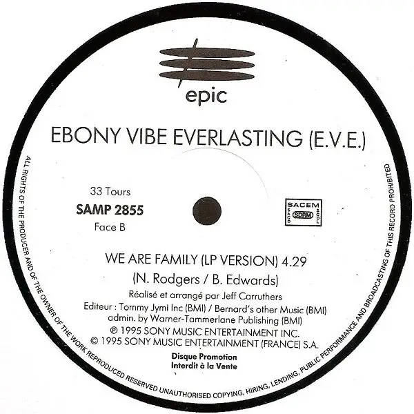 EBONY VIBE EVERLASTING - We Are Family - Disque Maxi x 1