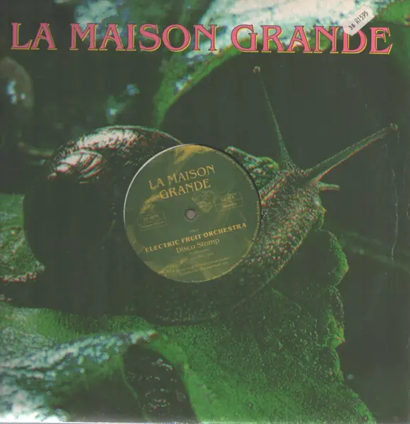 ELECTRIC FRUIT ORCHESTRA - Disco Stomp (COMPANY SLEEVE) - 12 inch x 1