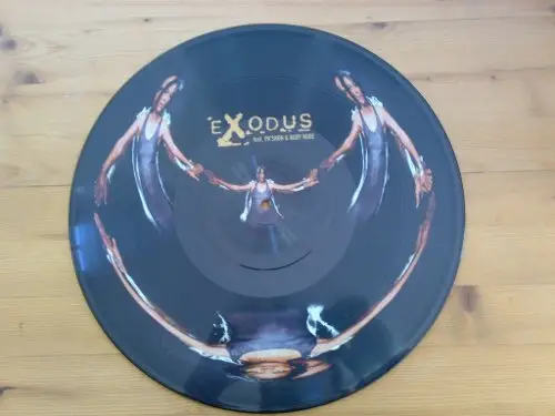 EXODUS - The Tide Is High (PICTURE VINYL!) - Disque Maxi x 1