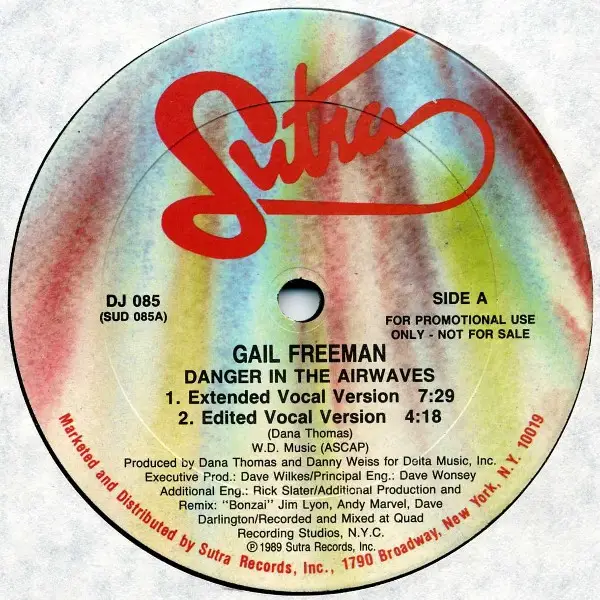 GAIL FREEMAN - Danger In The Airwaves - Disque Maxi x 1