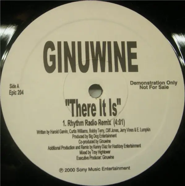 GINUWINE - There It Is - Disque Maxi 45T