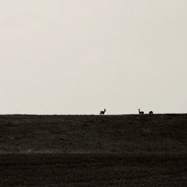 GIULIO ALDINUCCI - Goccia (CARDBOARD SLEEVE) - CD