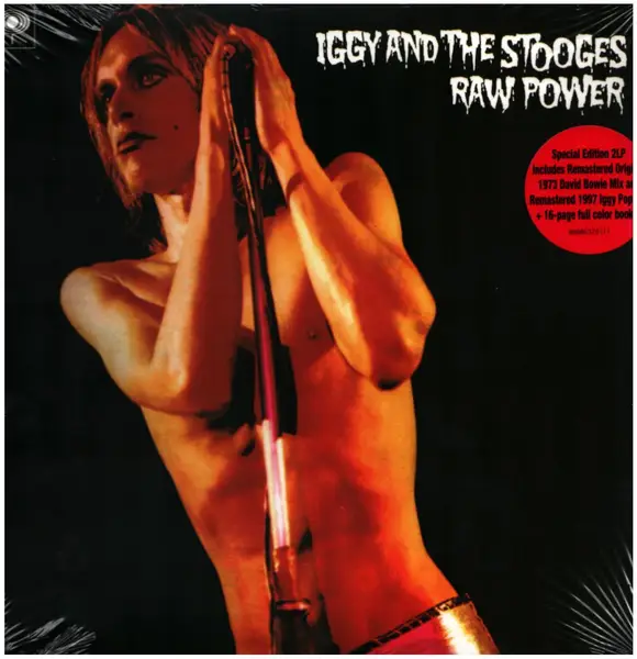 The Stooges Raw Power