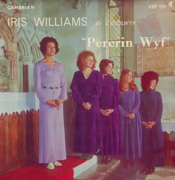 IRIS WILLIAMS A'R CANOLWYR - Pererin Wyf - Disque 45T x 1