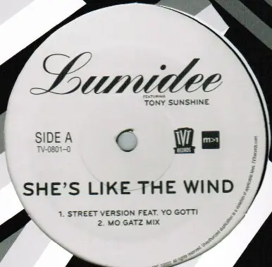 LUMIDEE FEATURING TONY SUNSHINE - She's Like The Wind - 12 inch 45 rpm